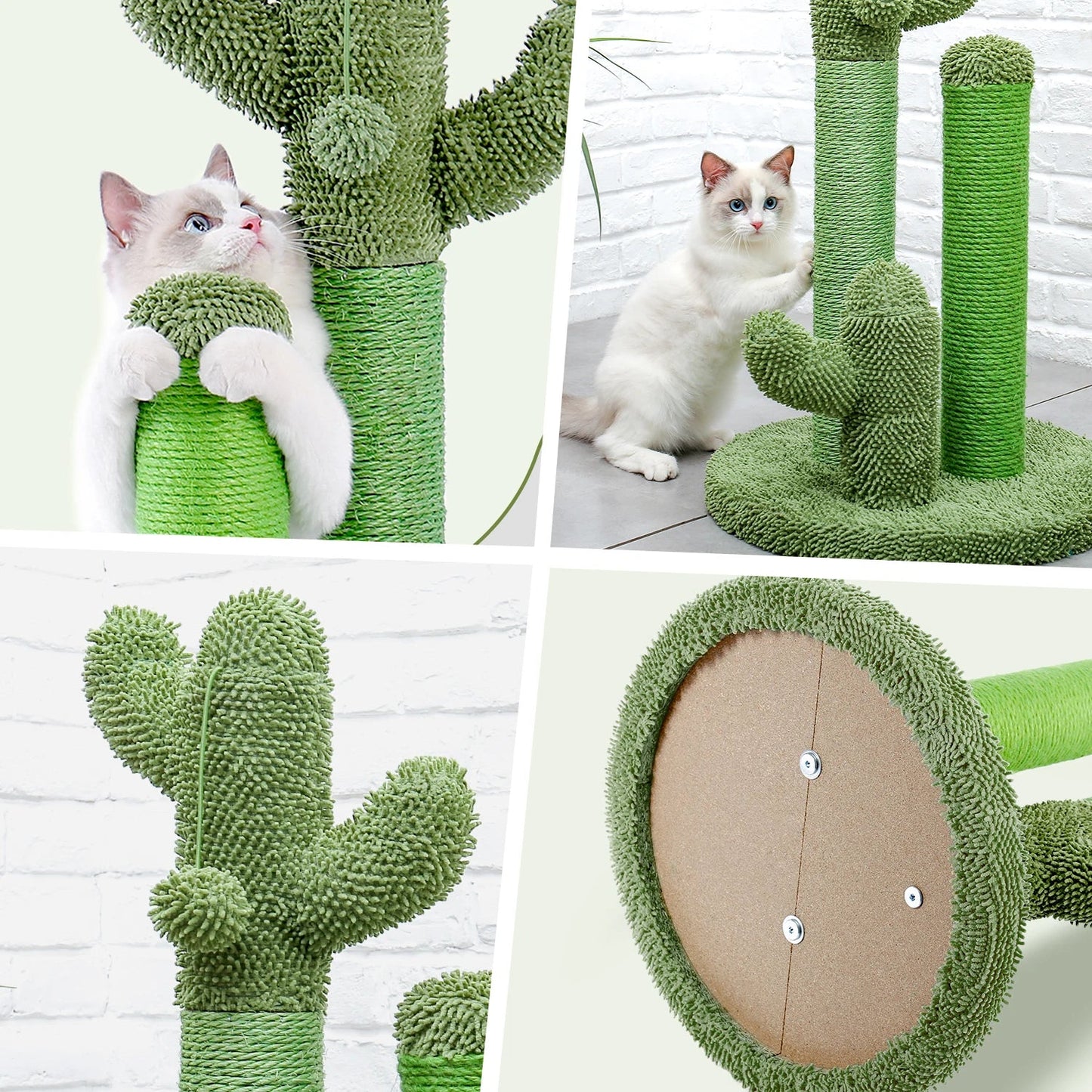 Grattoir Cactus Mini