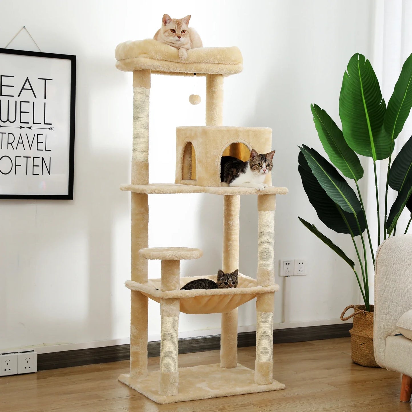 Arbre à Chat Tour Confort