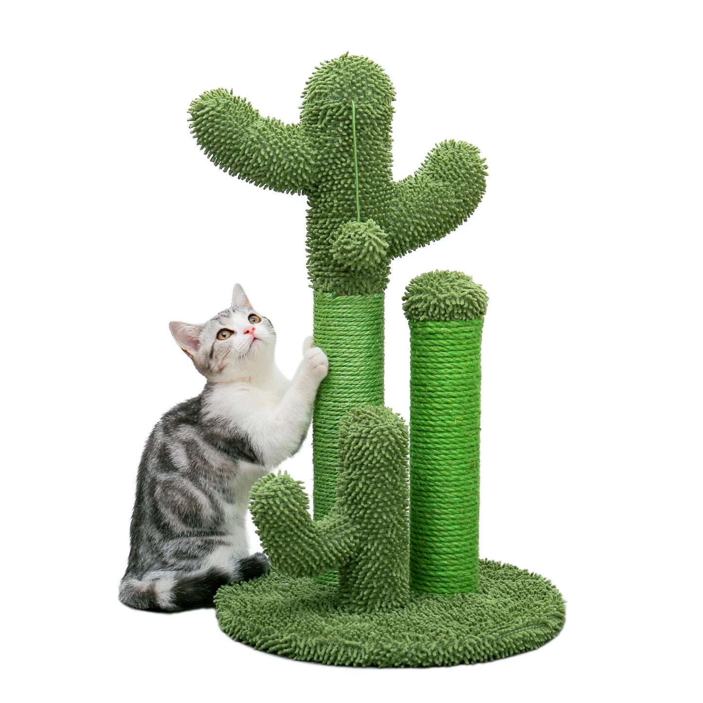 Grattoir Cactus Mini