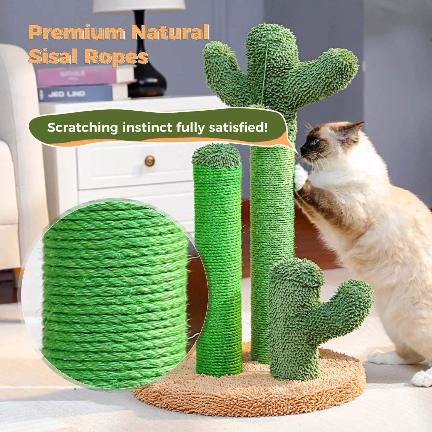 Grattoir Cactus Mini