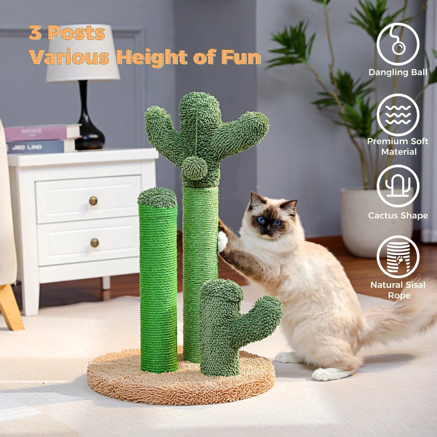 Grattoir Cactus Mini