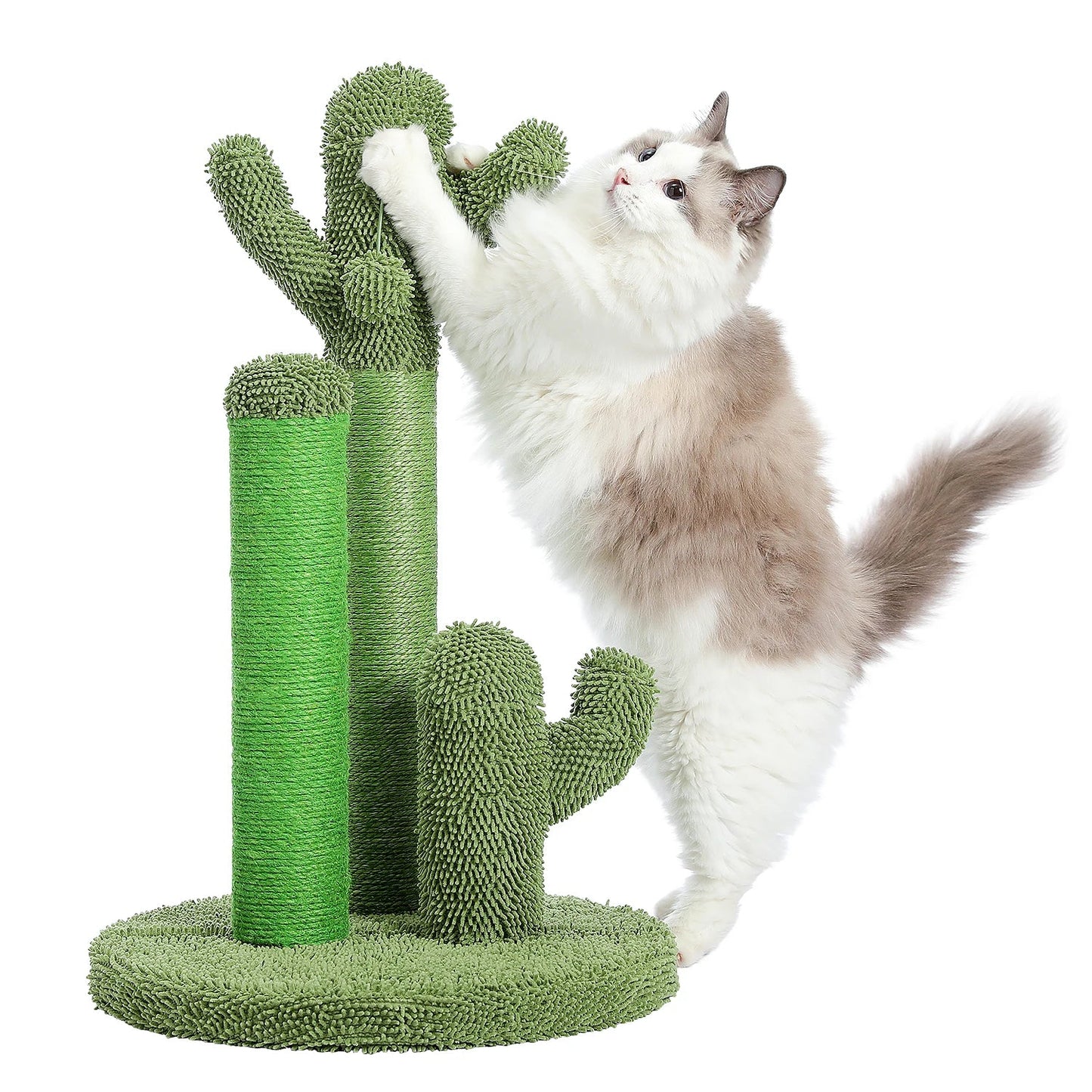 Grattoir Cactus Mini
