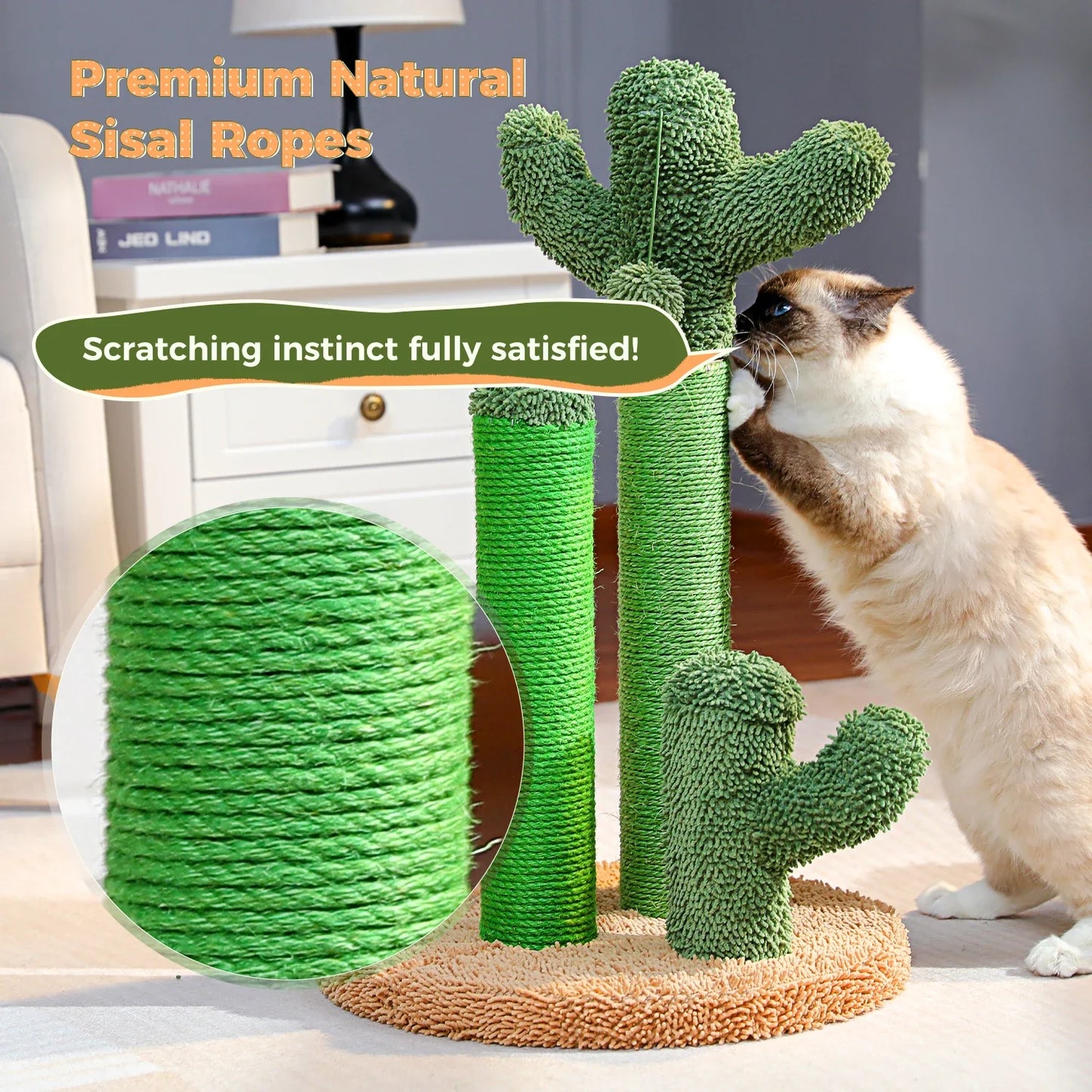 Grattoir Cactus Mini