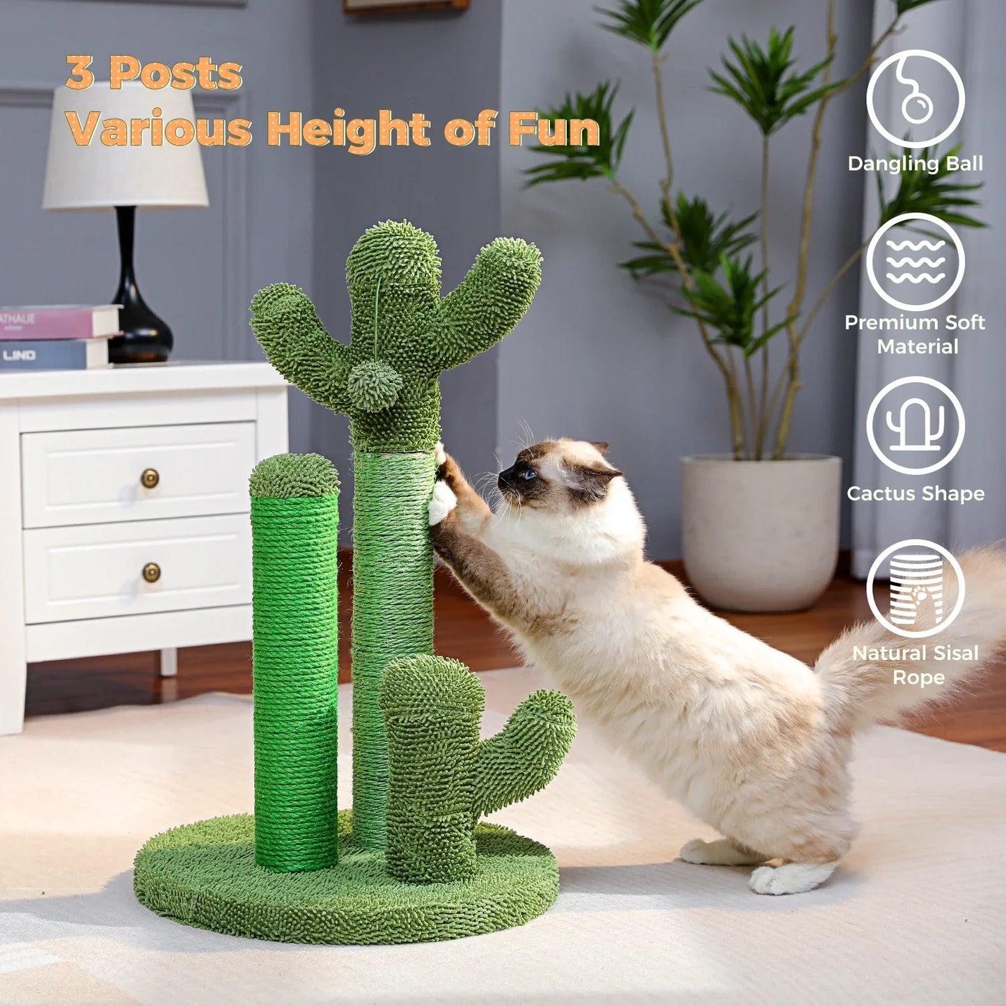 Grattoir Cactus Mini