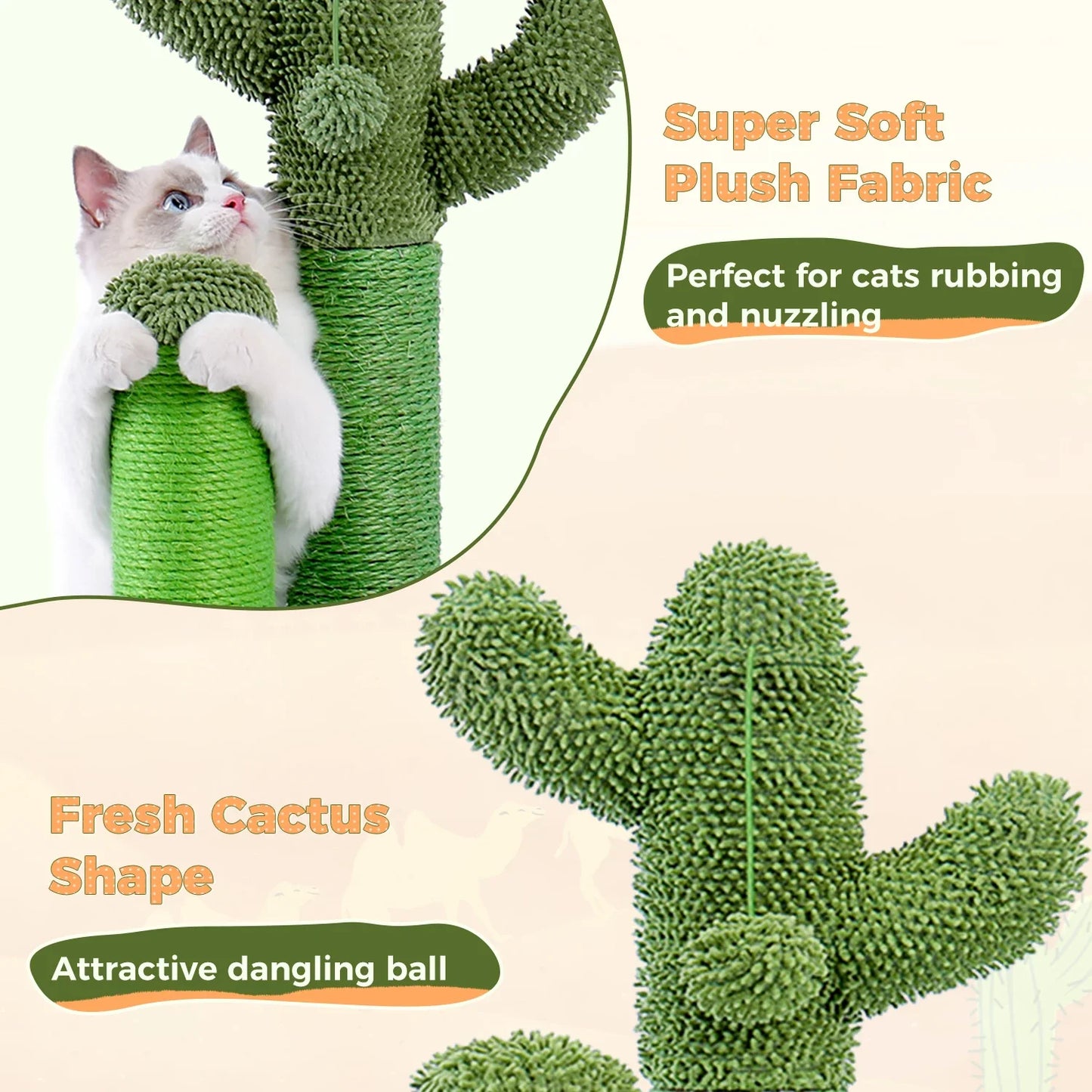 Grattoir Cactus Mini