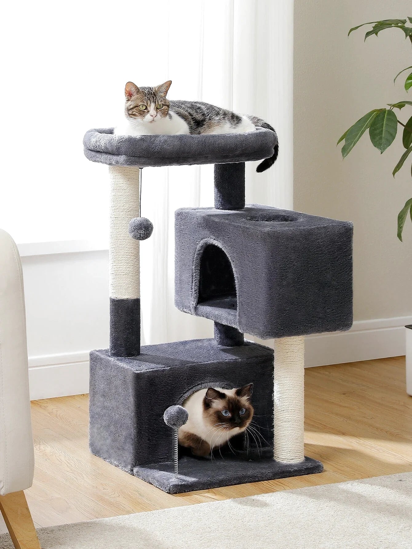 Arbre à Chat Mini Confort
