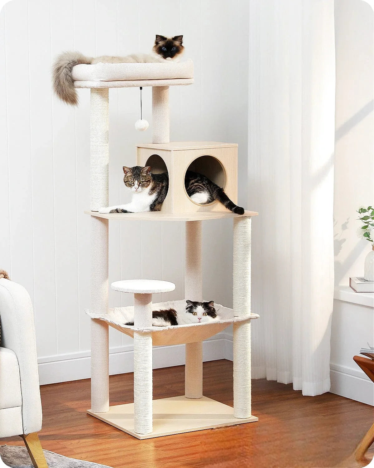 Arbre à Chat Stable Elite