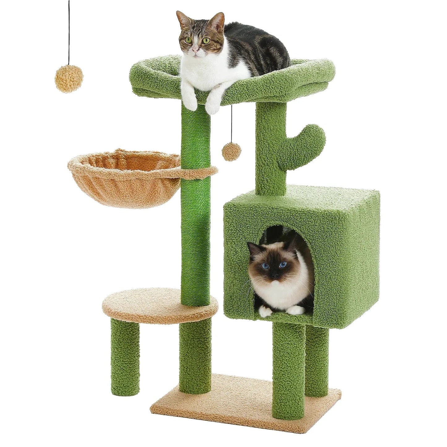 Petit Arbre à Chat Cactus Vert