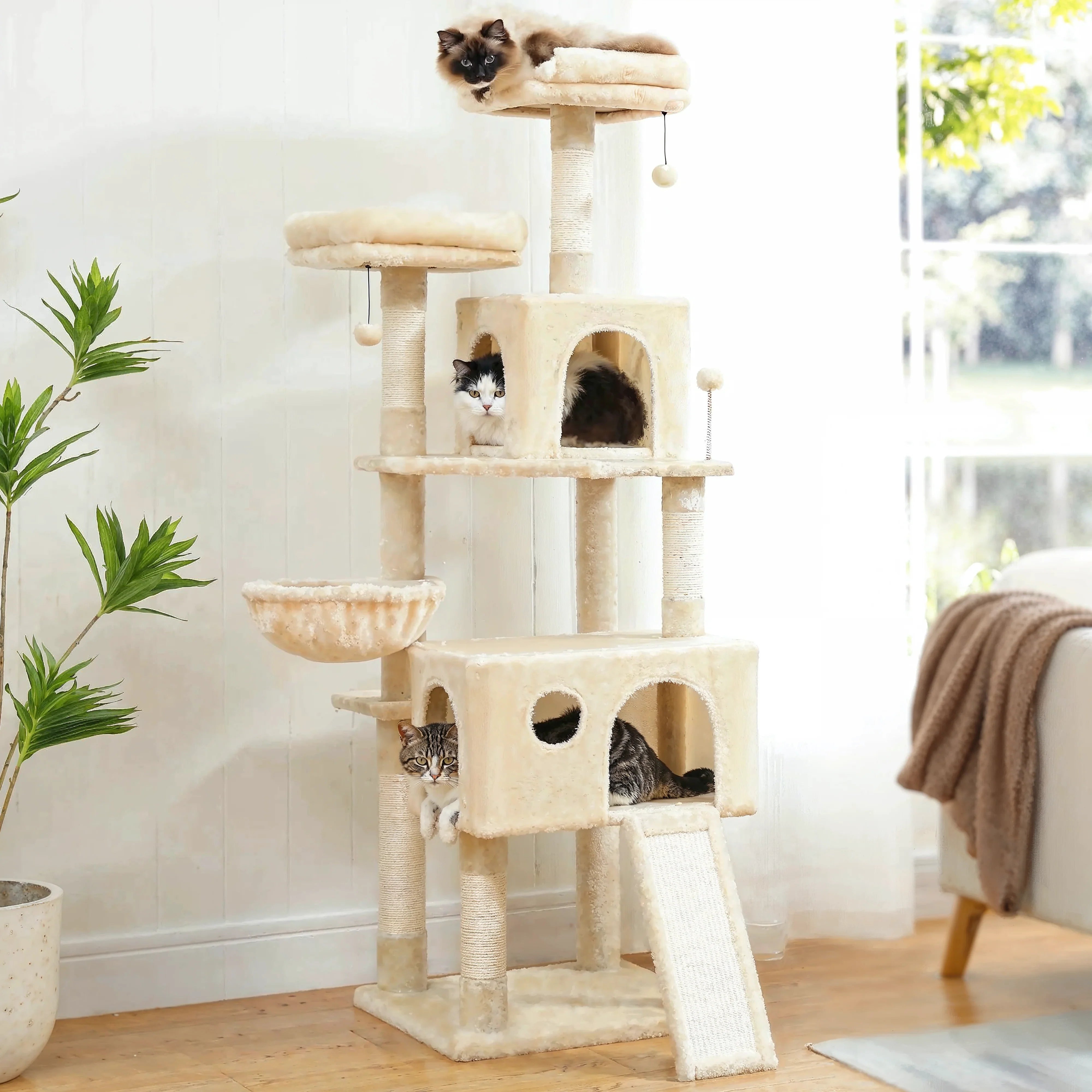 Arbre_Chat_Serenite_pour_Maine_Coon_Adulte_variant_beige