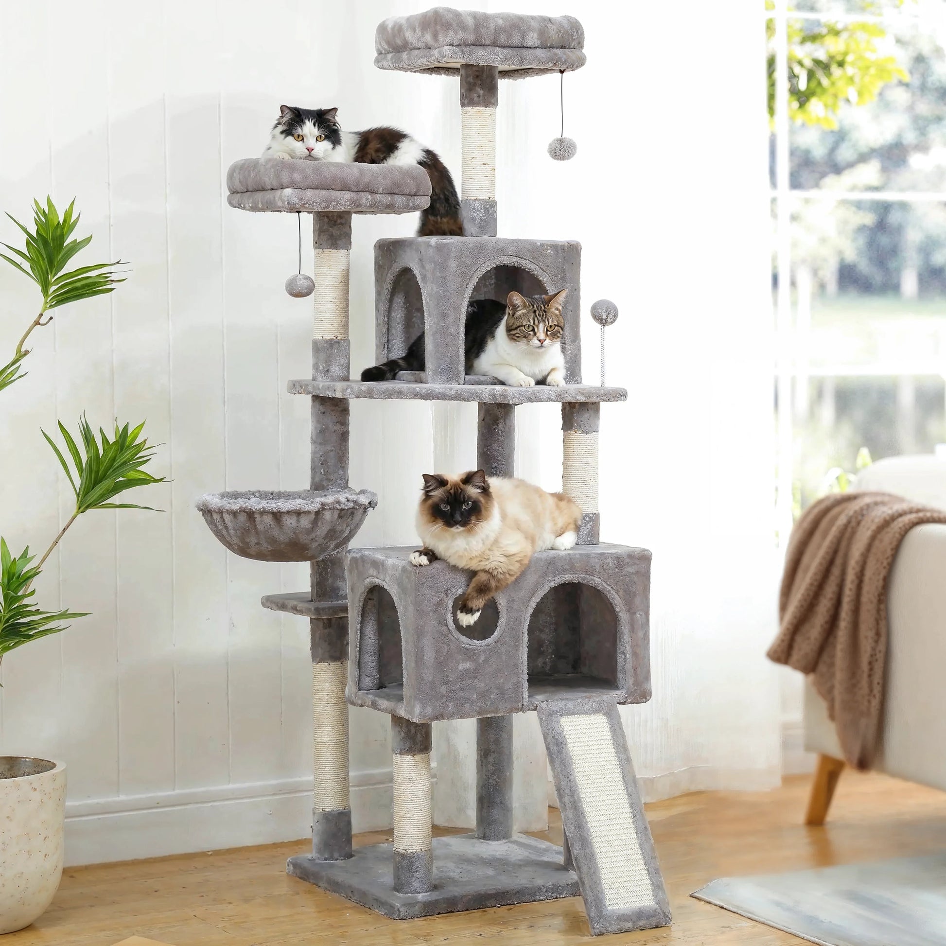 Arbre à Chat Sérénité pour Maine Coon Adulte variant gris