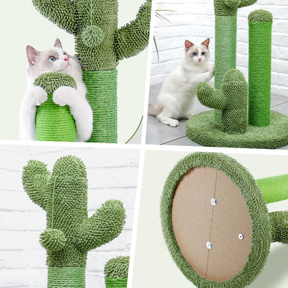 Grattoir Cactus Mini