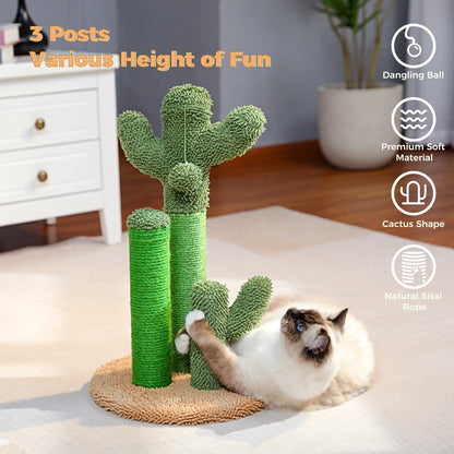 Grattoir Cactus Mini
