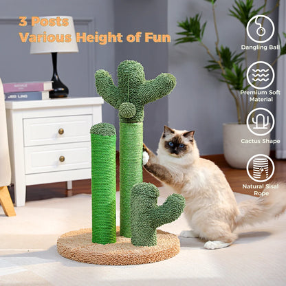 Grattoir Cactus Mini