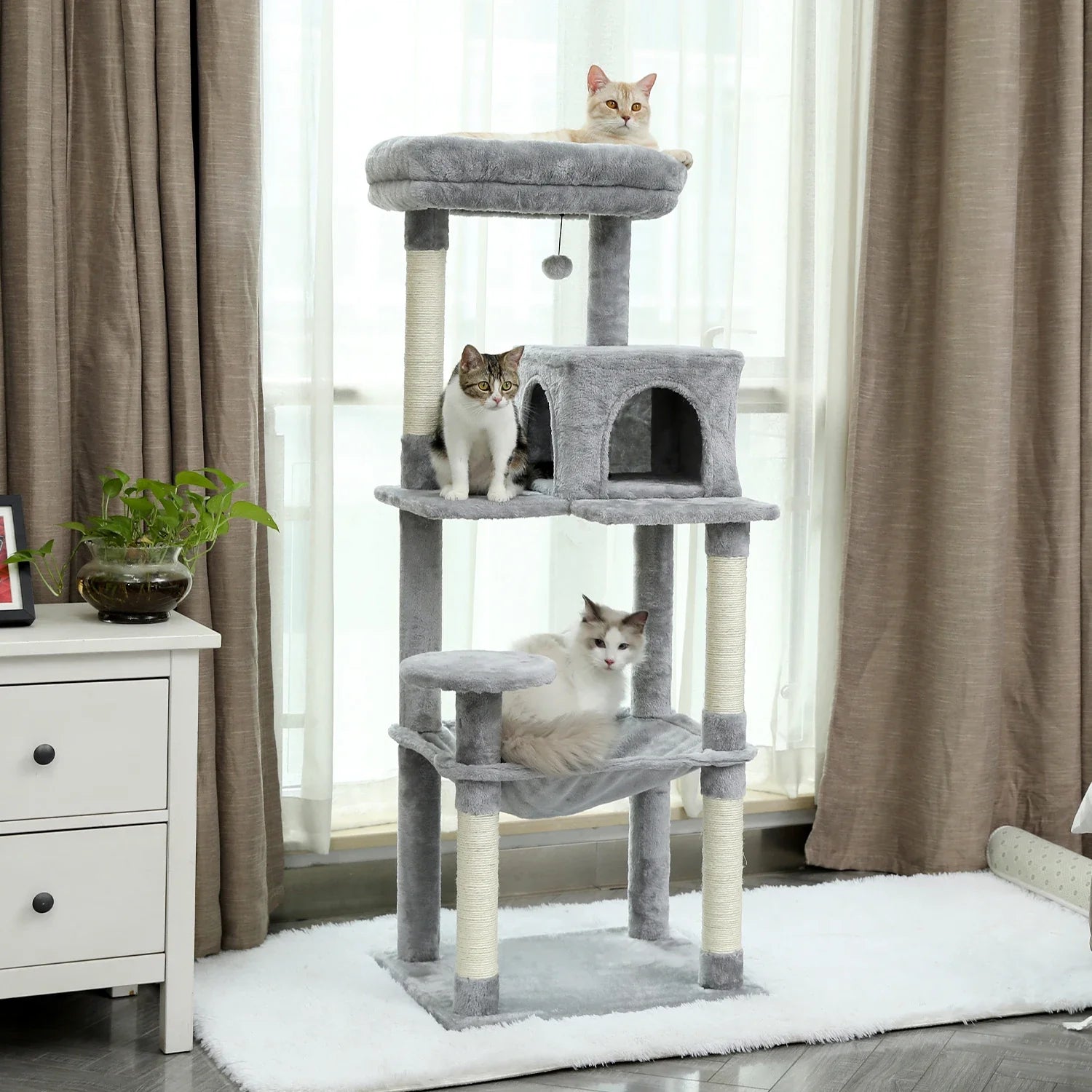 Arbre à Chat Tour Confort