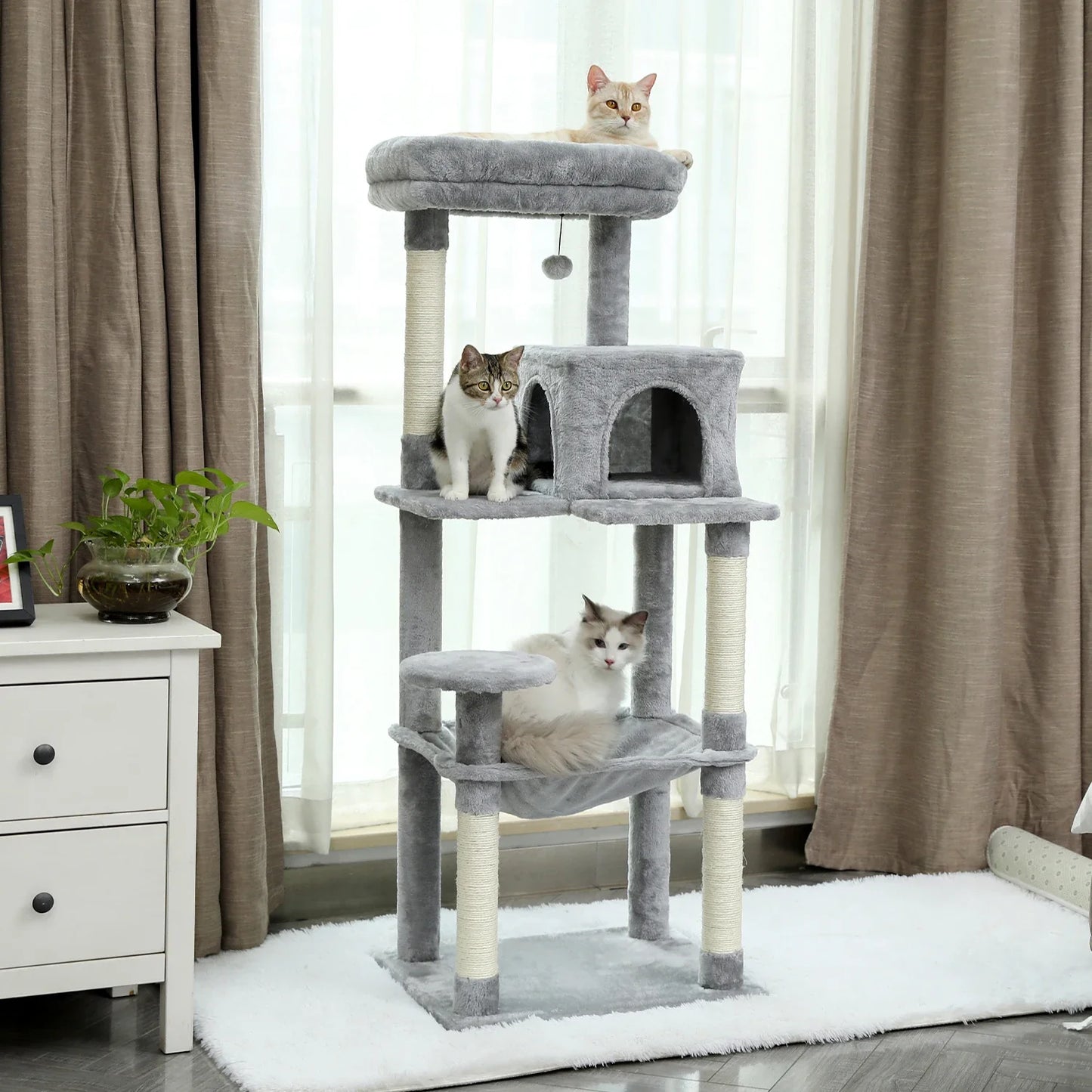 Arbre à Chat Tour Confort