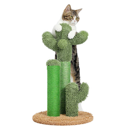 Grattoir Cactus Mini