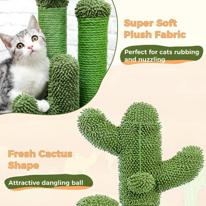 Grattoir Cactus Mini