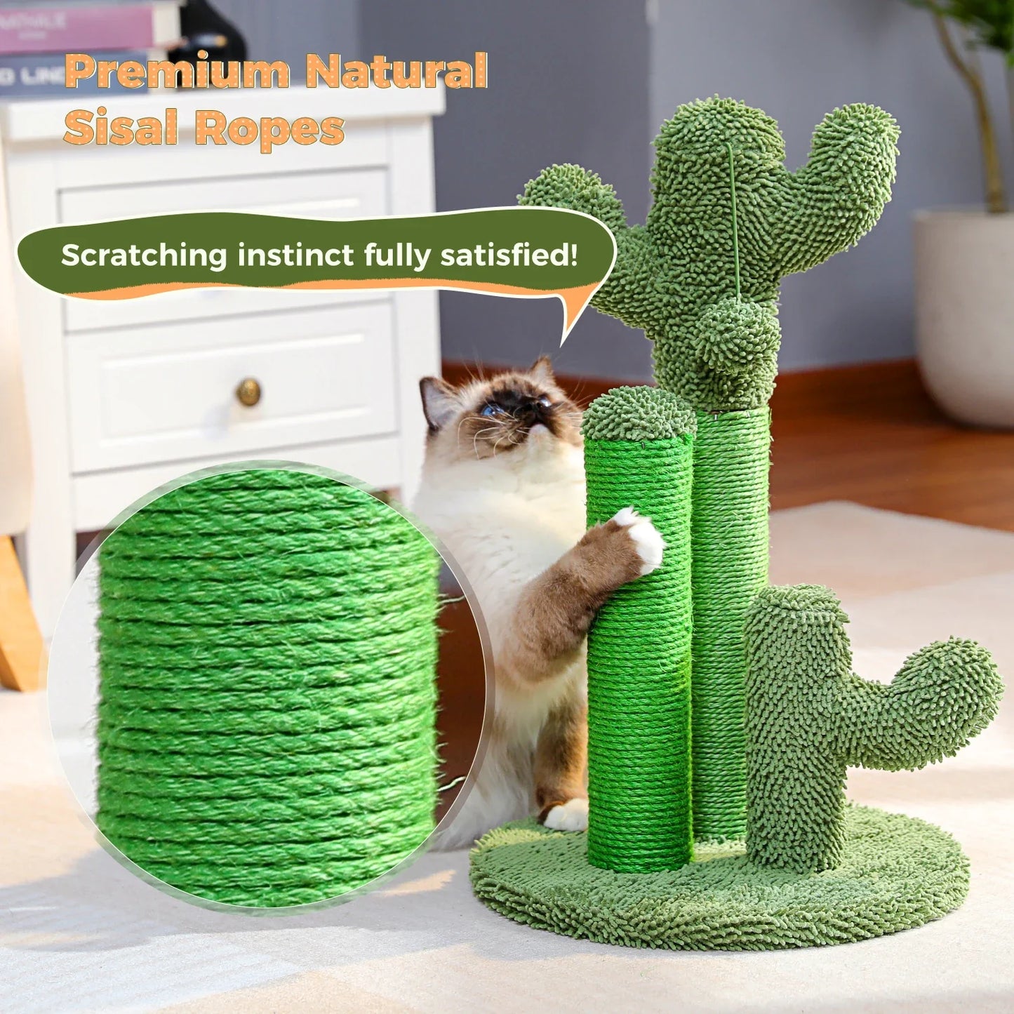Grattoir Cactus Mini