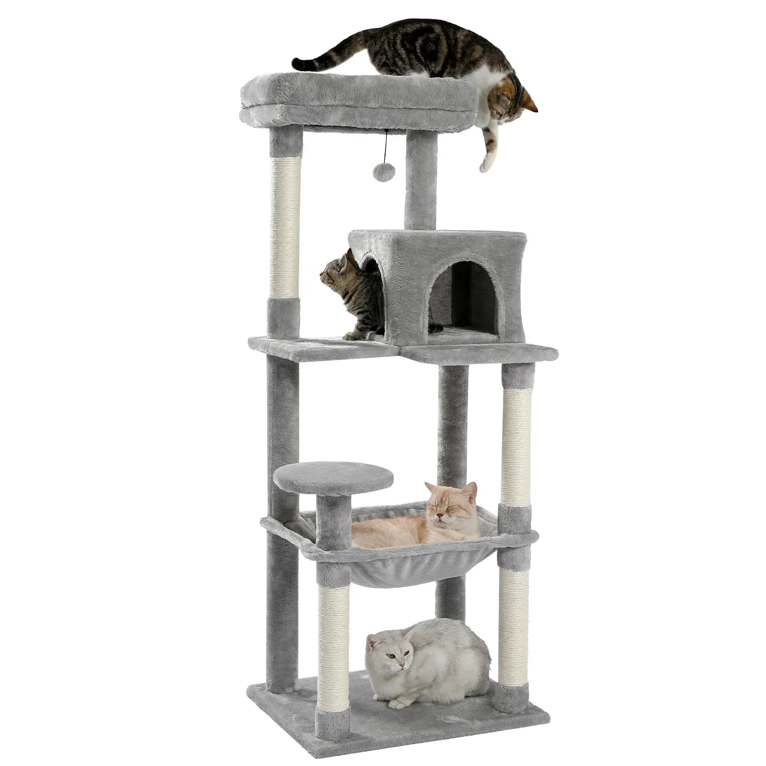 Arbre à Chat Tour Confort