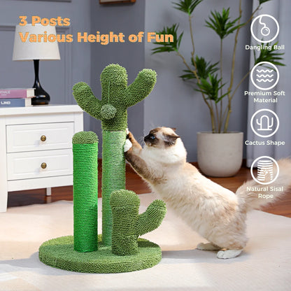 Grattoir Cactus Mini