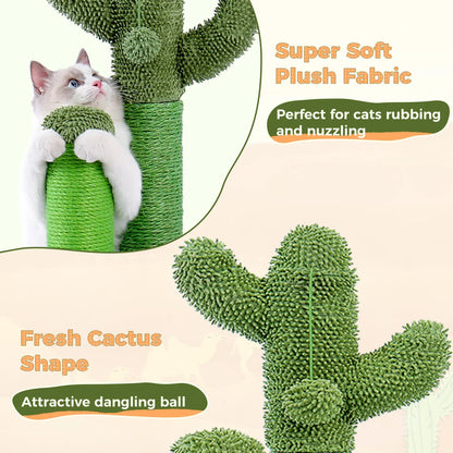 Grattoir Cactus Mini