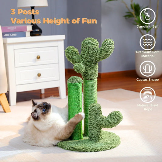 Grattoir Cactus Mini