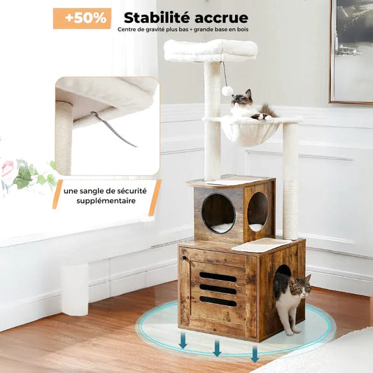 Arbre à Chat Adulte Bois Foncé Solide