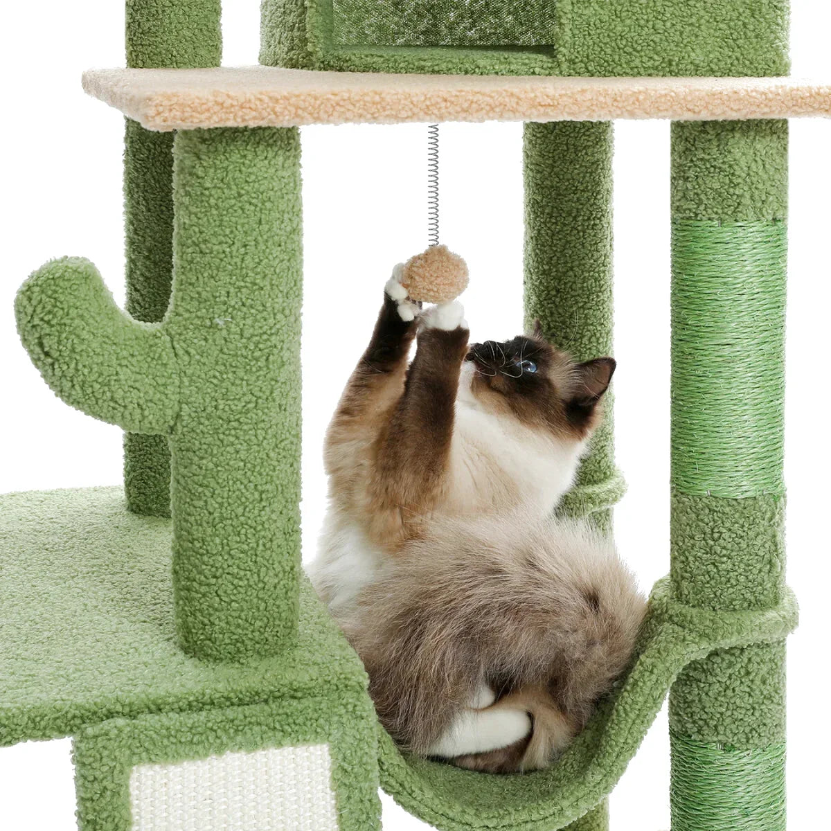 Arbre à Chat Cactus avec Hauteur Réglable