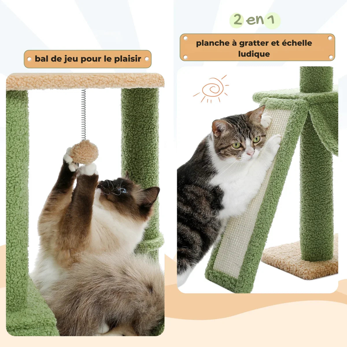 Arbre à Chat Cactus avec Hauteur Réglable