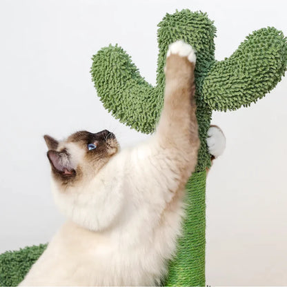 Arbre à Chat Cactus Vert avec Panier