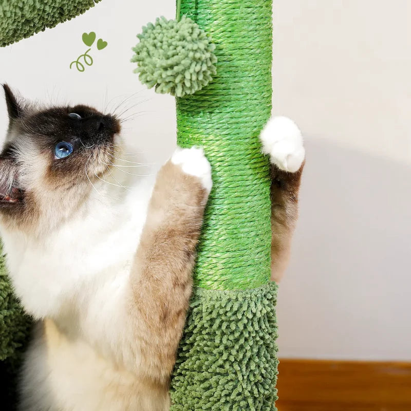 Arbre à Chat Cactus Vert avec Panier