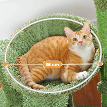 Arbre à Chat Cactus Vert avec Panier