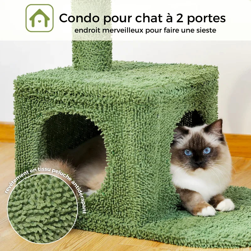 Arbre à Chat Cactus Vert avec Panier