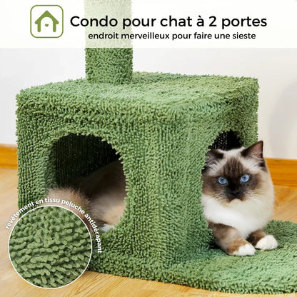 Arbre à Chat Cactus Vert avec Panier