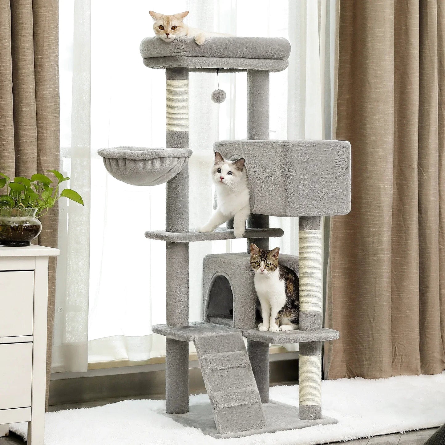 Arbre à Chat pour Adulte Confort Plus