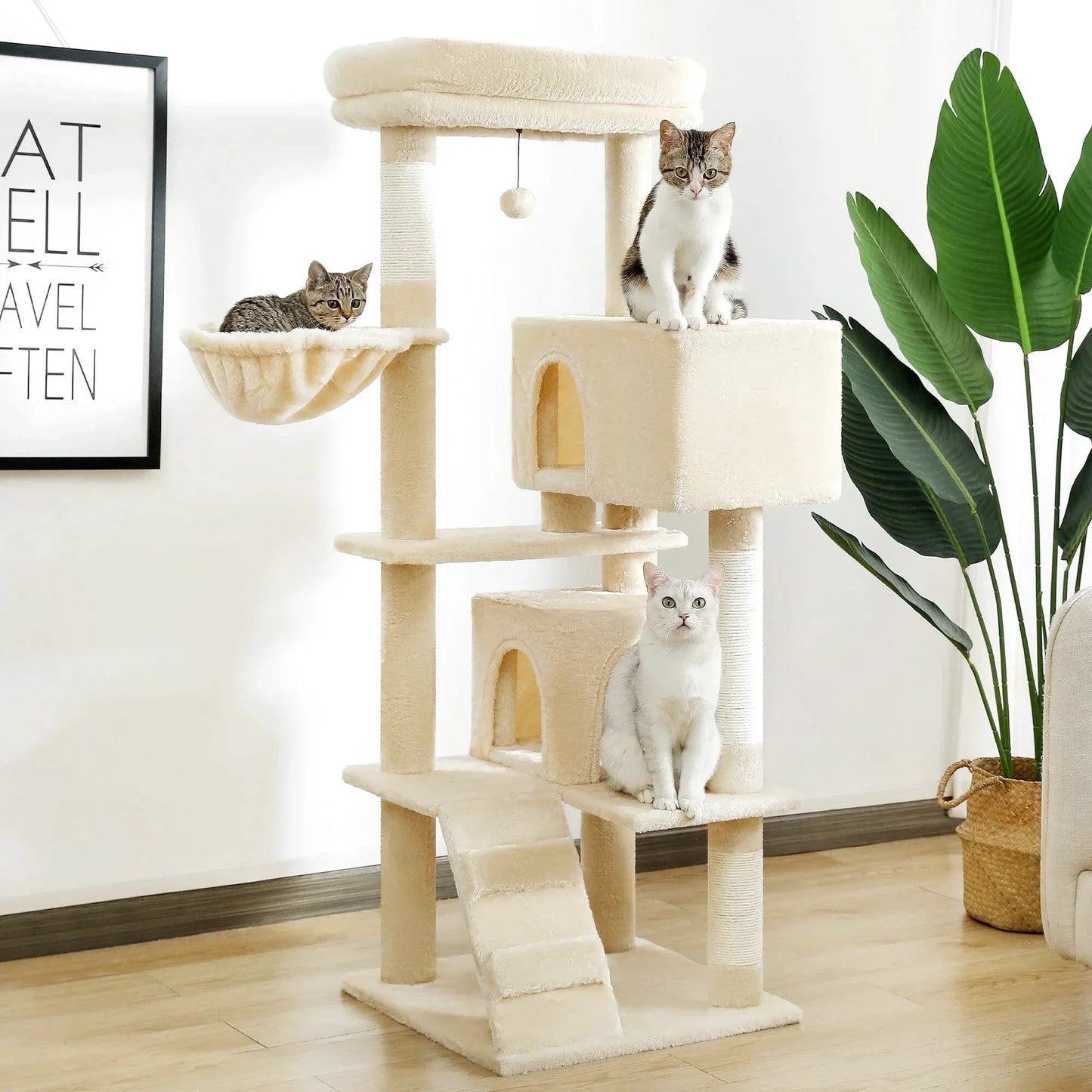 Arbre à Chat pour Adulte Confort Plus