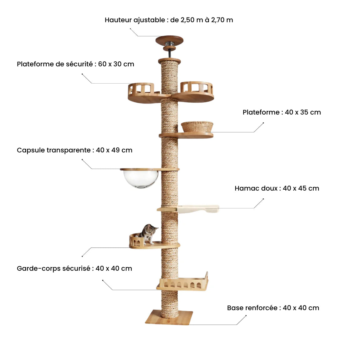 Arbre à Chat XXL en Bois Personnalisé
