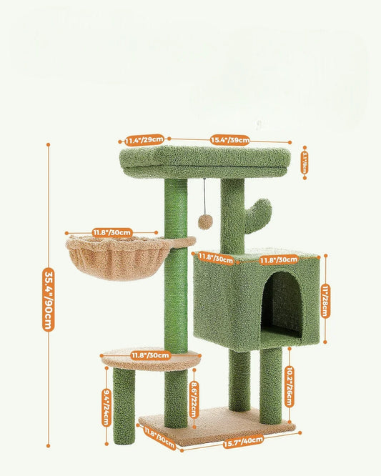 Petit Arbre à Chat Cactus Vert